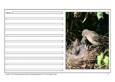 Amsel-eigene-Texte-6.pdf